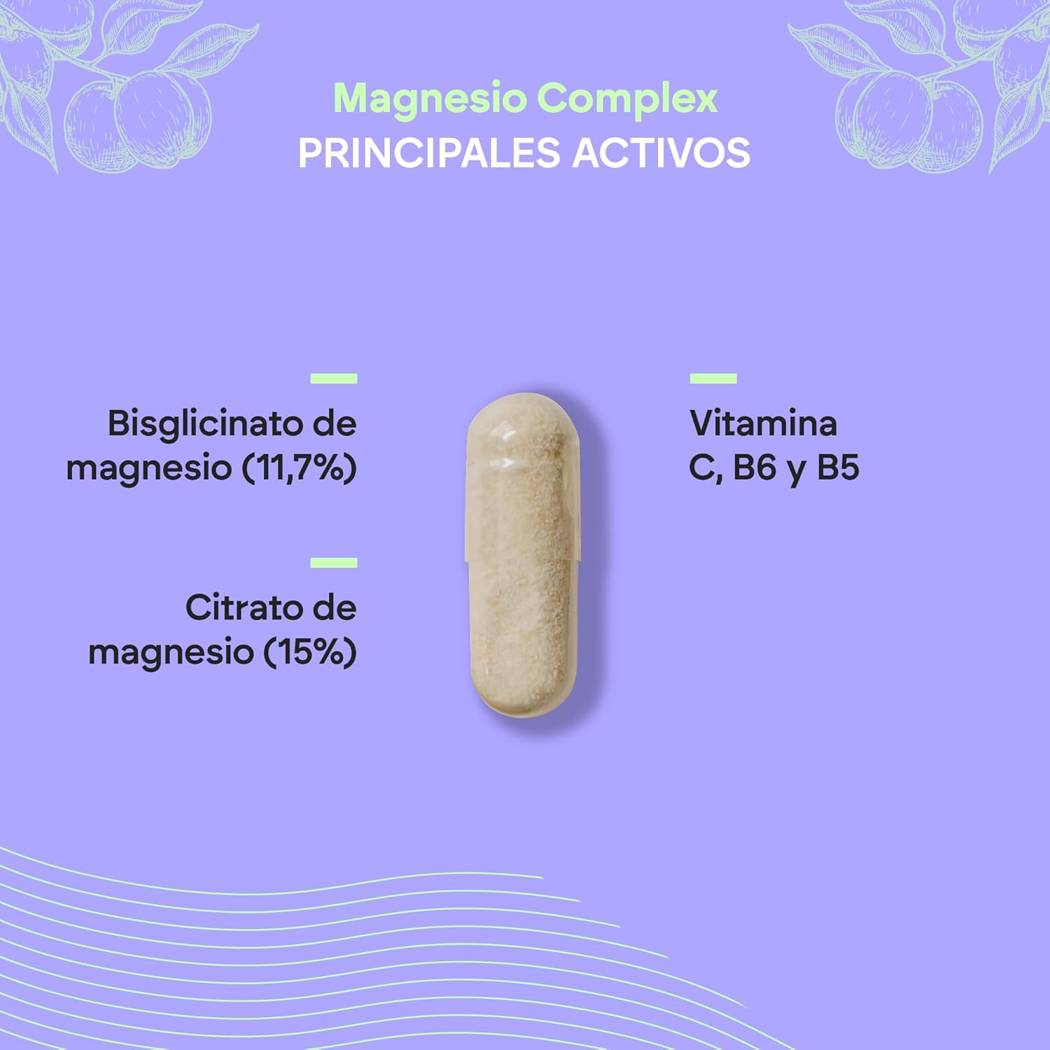 Magnesio Complex Vitalidad y Recuperación + Ashwagandha y Vitamins B5 and B6 (240 capsulas)